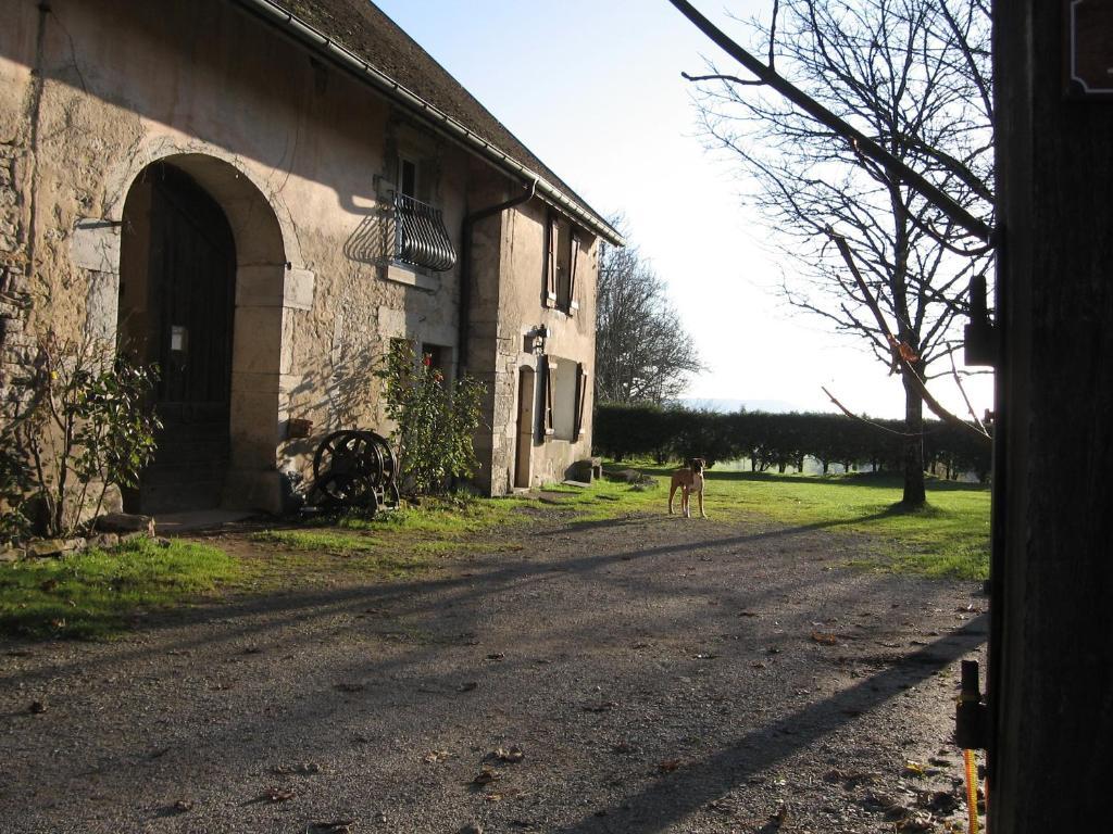 Chez Robert Et Catherine Dompierre-sur-Mont Phòng bức ảnh